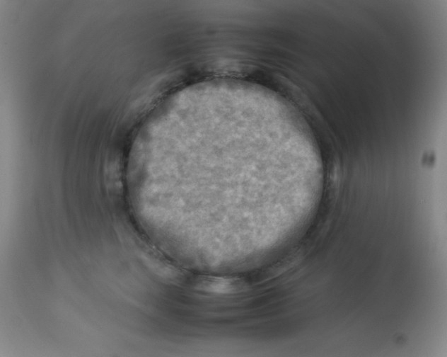 X0000113750663200910211147