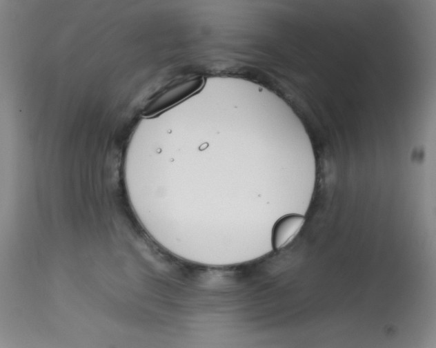 X0000113750664200910211147