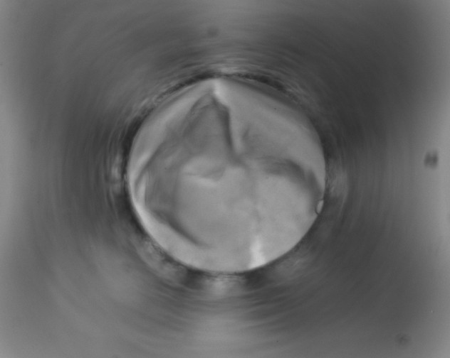 X0000113750670200910211148