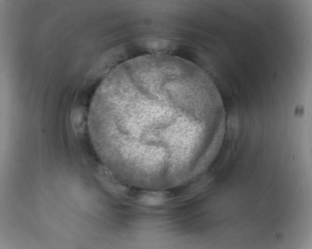 X0000113750671200910211148