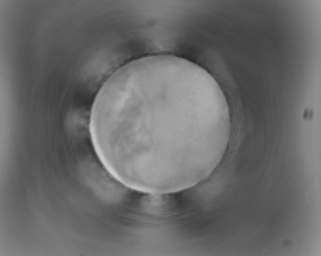 X0000113750672200910211148