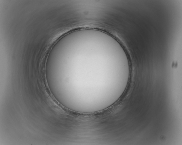 X0000113750673200910211147