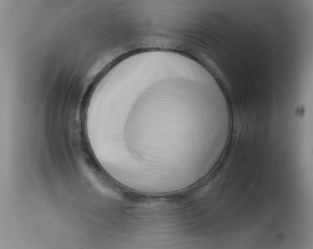 X0000113750674200910211147