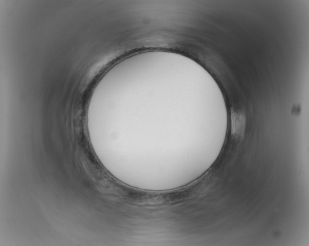 X0000113750675200910211147