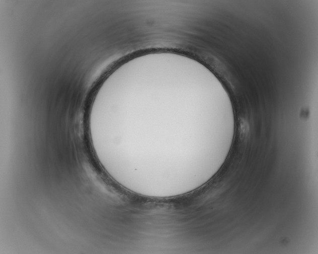 X0000113750676200910211147