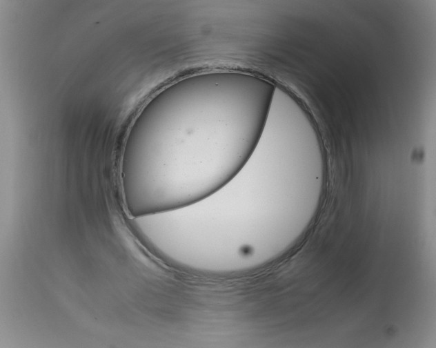 X0000113750677200910211147