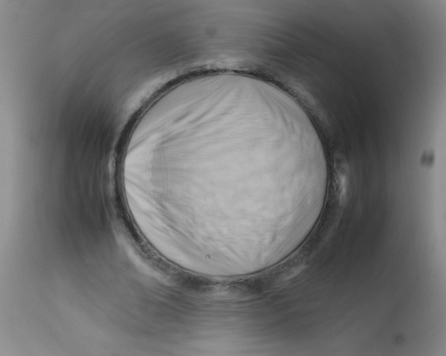 X0000113750678200910211147