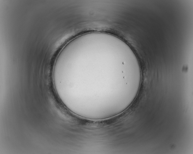 X0000113750679200910211147