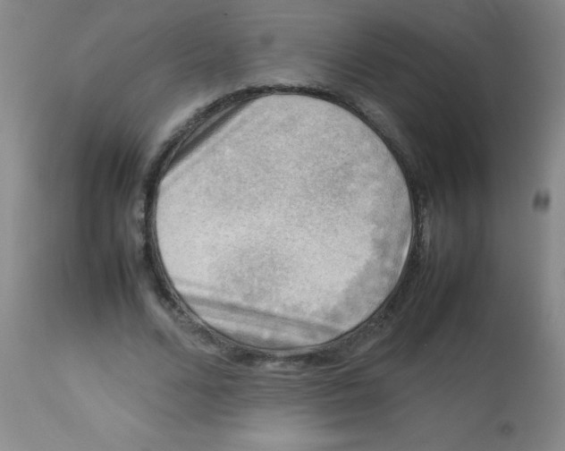 X0000113750680200910211147