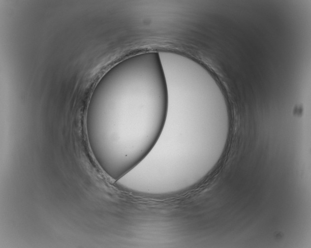 X0000113750681200910211147