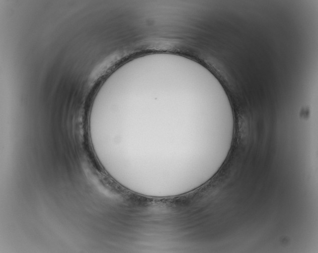 X0000113750682200910211147