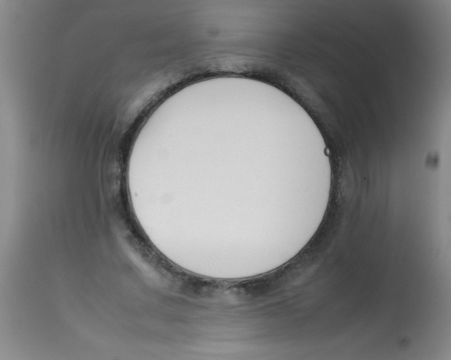 X0000113750683200910211147