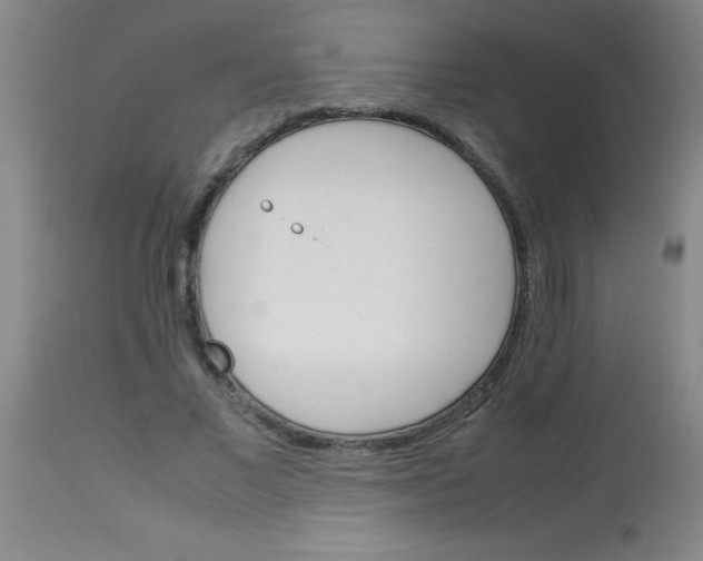 X0000113750685200910211147