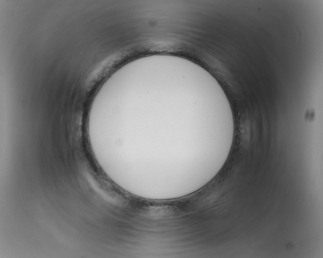 X0000113750686200910211147