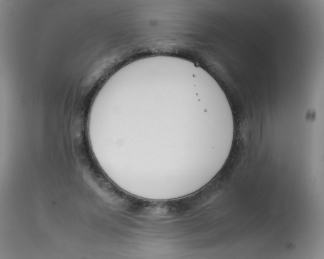 X0000113750687200910211147