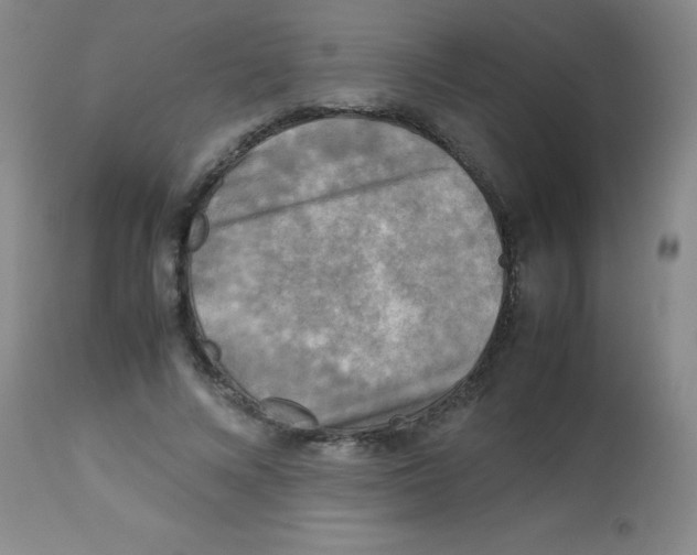 X0000113750688200910211147