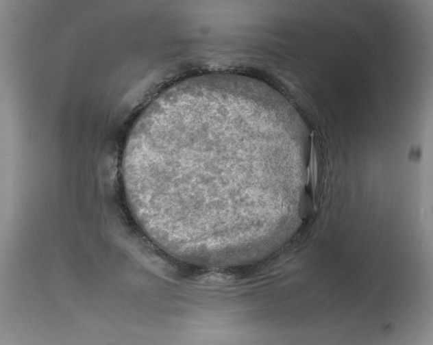 X0000113750691200910211147