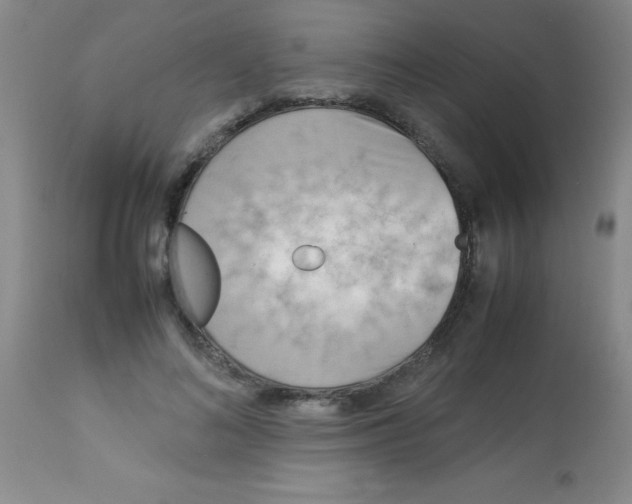 X0000113750692200910211147