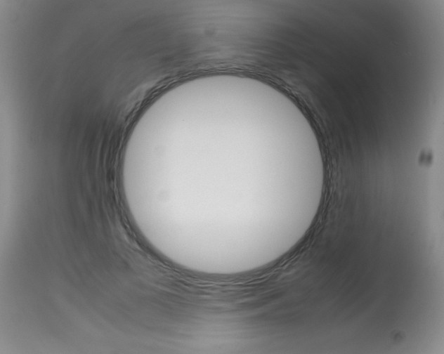 X0000113750693200910211147