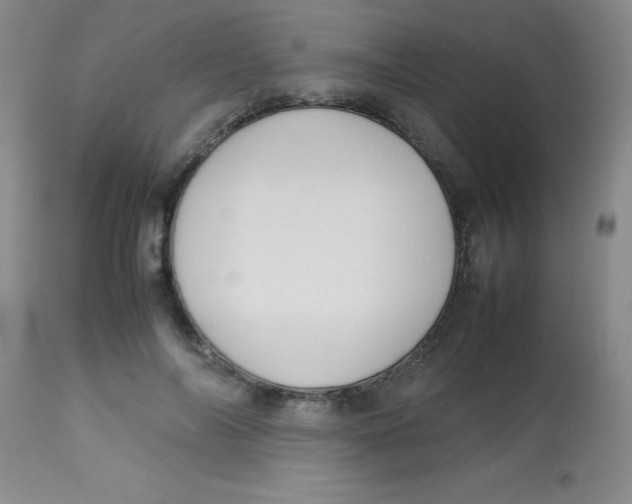 X0000113750694200910211147