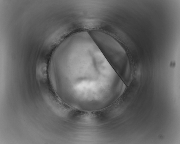 X0000113750696200910211147