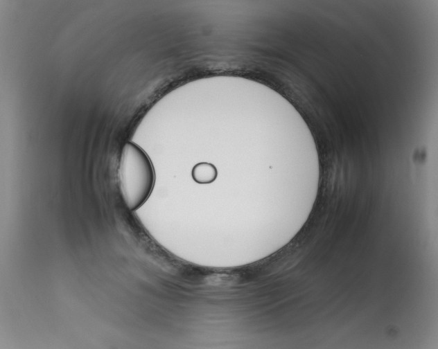 X0000113750700200910211147