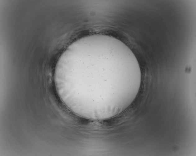 X0000113750703200910211147