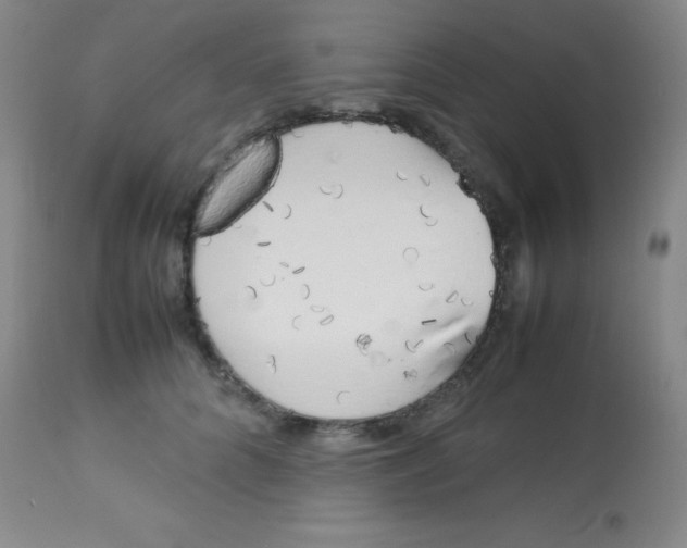 X0000113750704200910211147