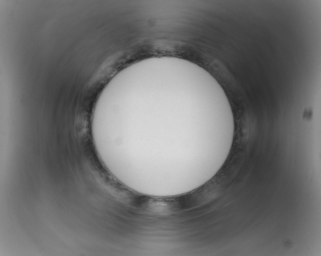 X0000113750706200910211146