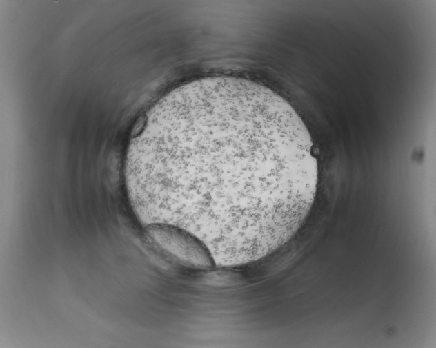 X0000113750708200910211146