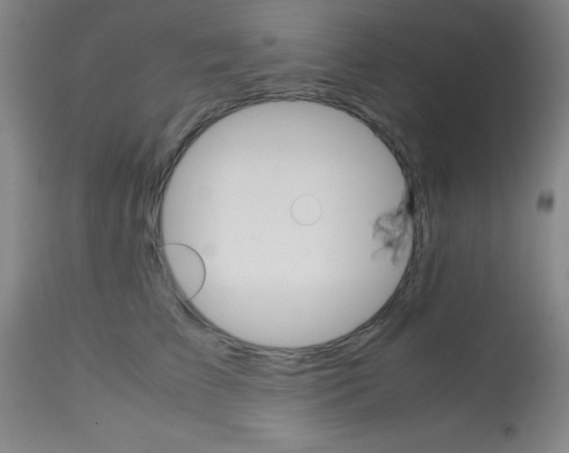 X0000113750709200910211146