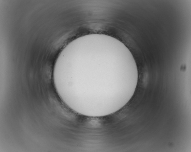 X0000113750710200910211146