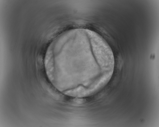 X0000113750711200910211146