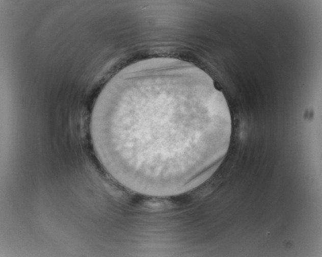 X0000113750712200910211146