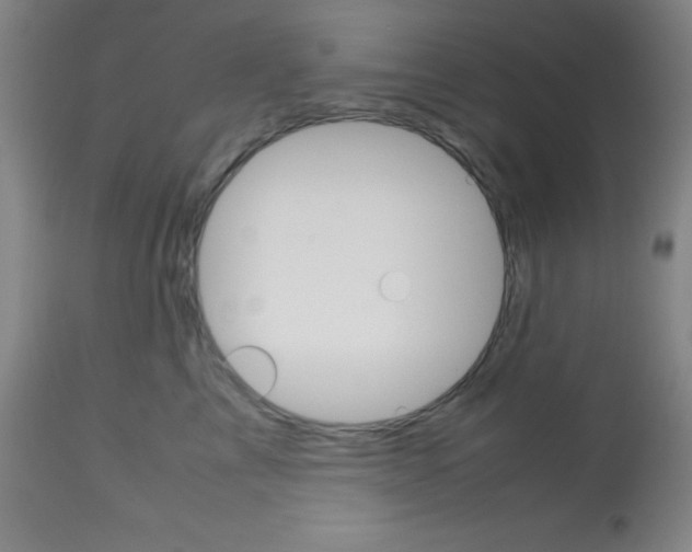 X0000113750713200910211146