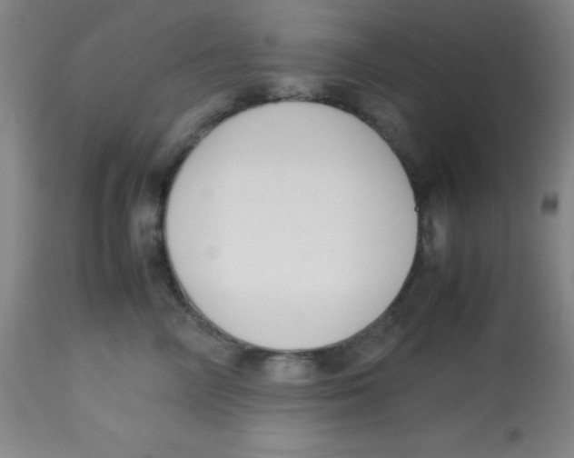 X0000113750714200910211146