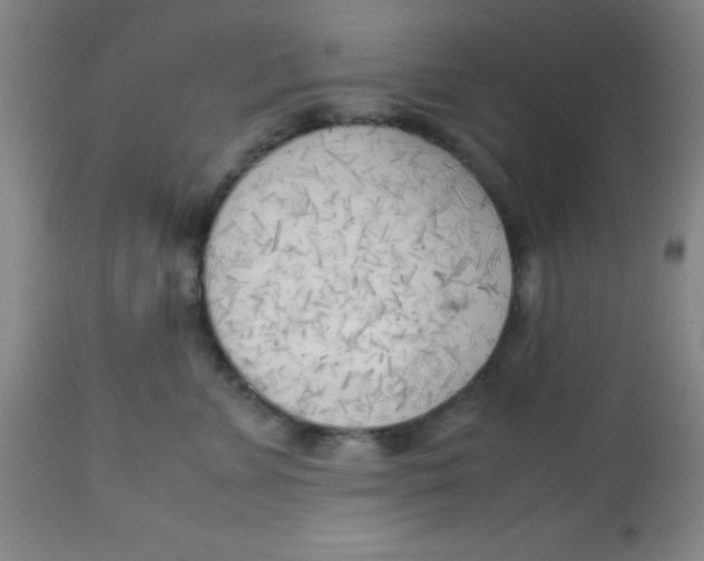 X0000113750715200910211146