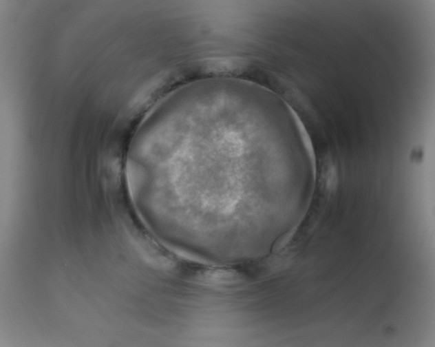 X0000113750716200910211146