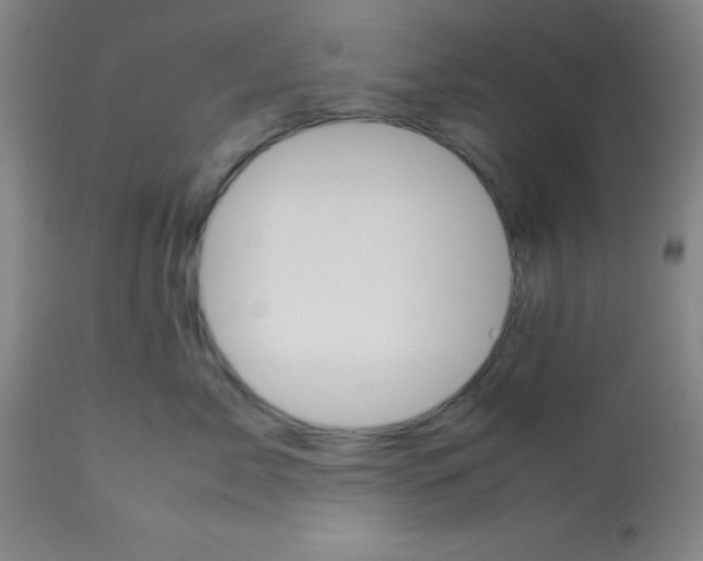 X0000113750717200910211146