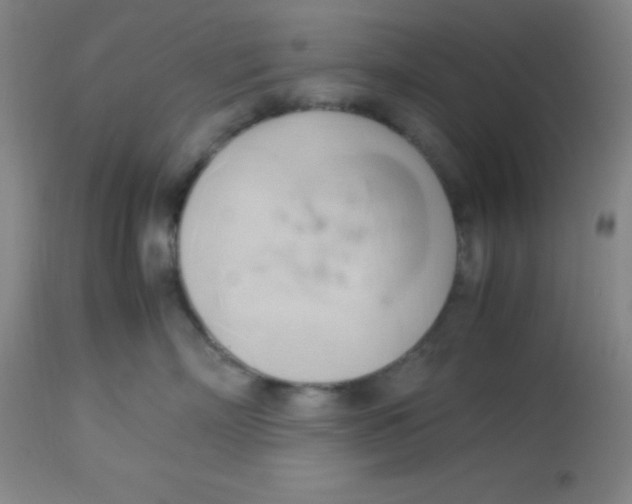 X0000113750718200910211146