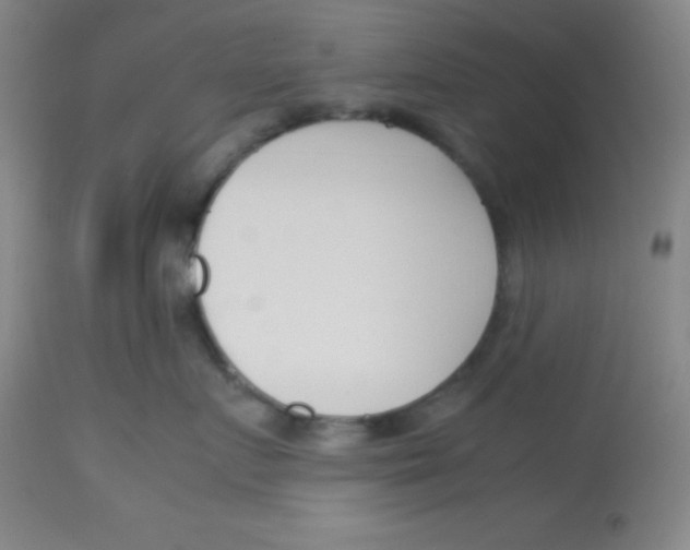 X0000113750719200910211146