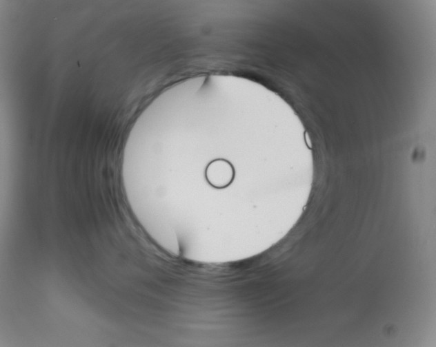 X0000113750720200910211146