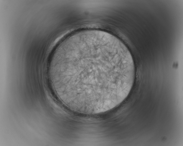 X0000113750722200910211146
