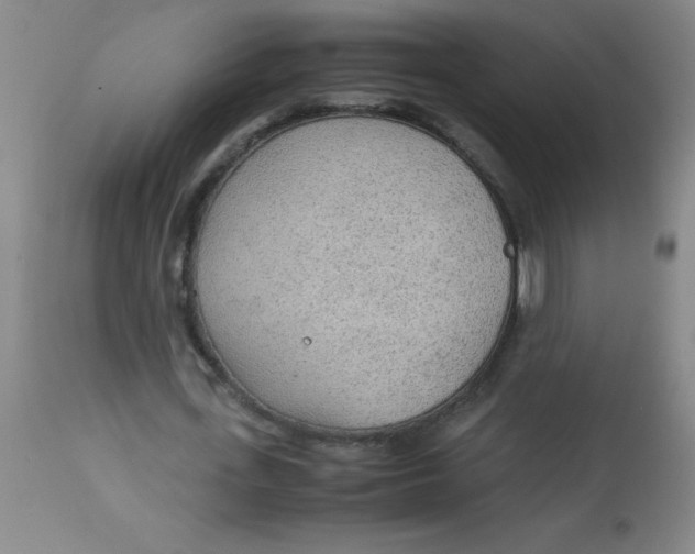 X0000113750723200910211146