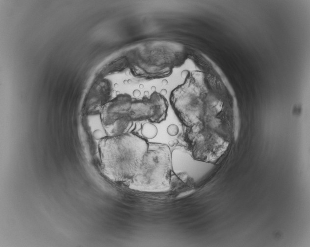 X0000113750725200910211146