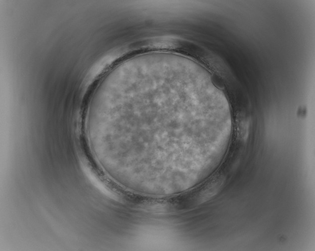 X0000113750726200910211146