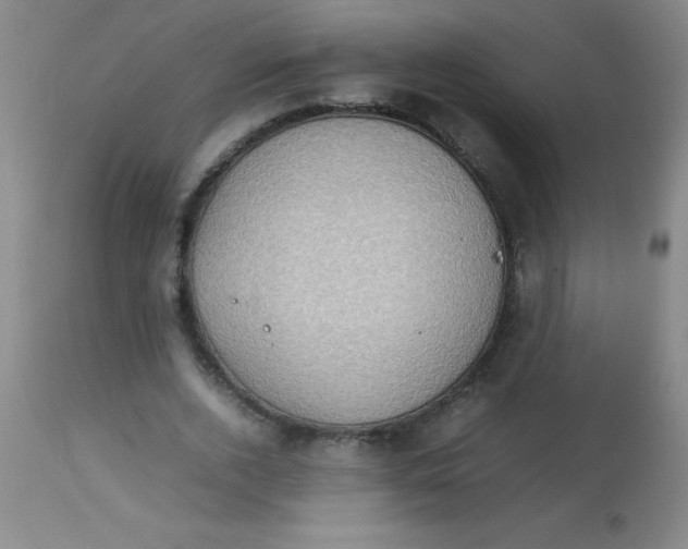 X0000113750728200910211146