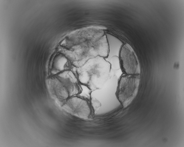 X0000113750729200910211146