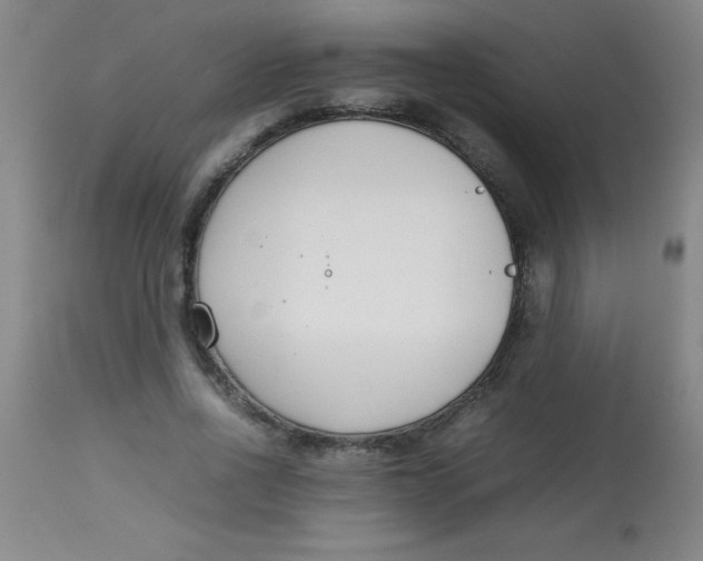 X0000113750734200910211146