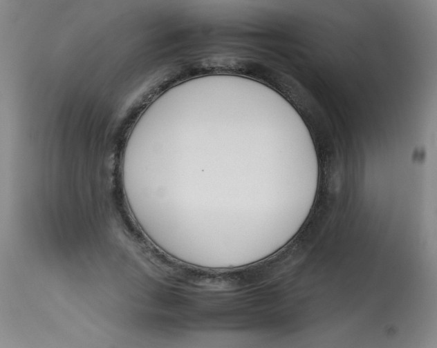 X0000113750735200910211146